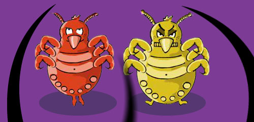 Lice
