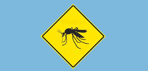 Summer stings and year-round bites