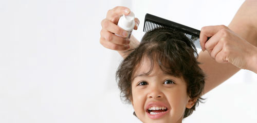 Lice