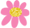 pic2_flor