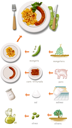 mongetes