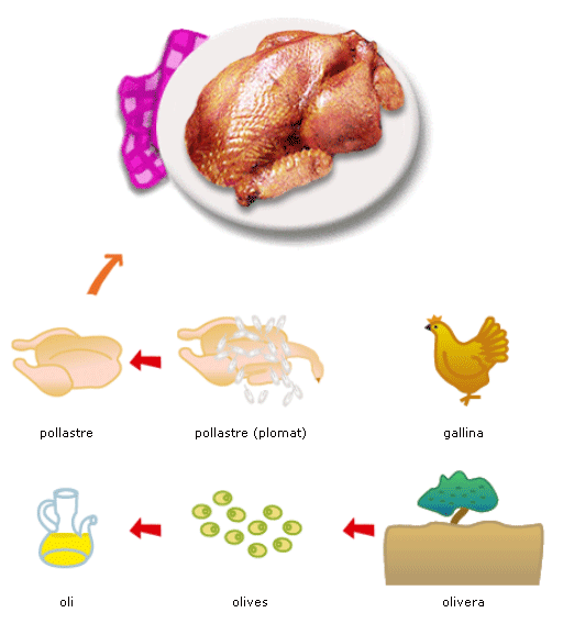 pollo