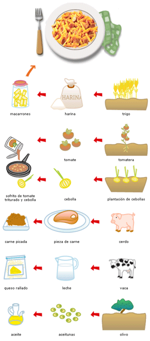macarrons