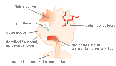 refredat_escoles9_c